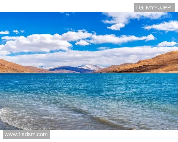 探索阿拉巴的魅力与文化深度发现这片土地的独特风情与历史遗迹 探索阿拉巴的魅力与文化深度发现这片土地的独特风情与历史遗迹