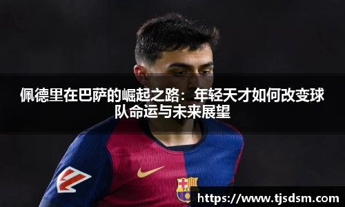 三亿体育手机最新版本