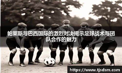 三亿体育手机最新版本